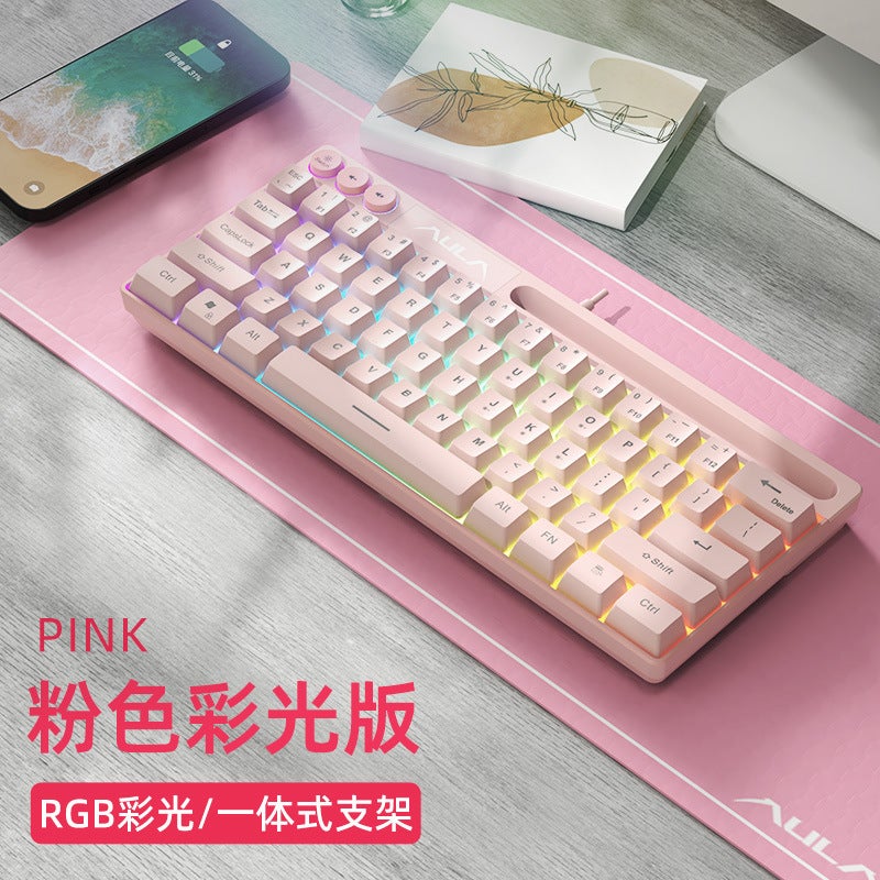 Aula Wolf Spider F3061 Mini Mechanical Feel Small Keyboard 61-Key Wired Rgb Desktop Notebook Tablet Portable - Image 1